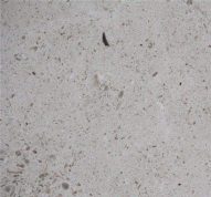 Maljat Limestone