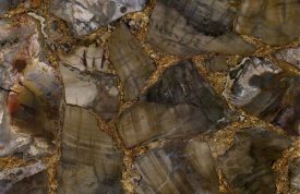 Petrified Wood Brown Gold