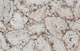 Petrified Wood White