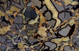 Septarian With Gold